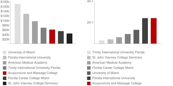 Acupuncture and Massage College Faculty Compensation and Workload Chart