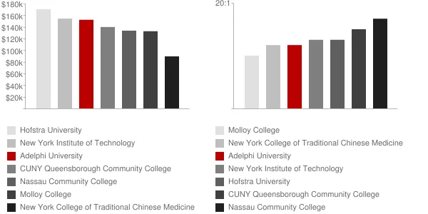 Adelphi University Faculty Compensation and Workload Chart