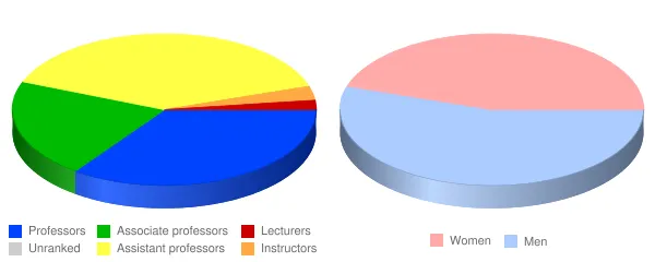 Alfred University Faculty Demographics Chart