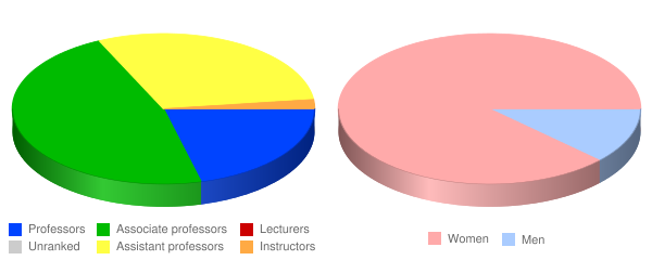 Allen College Faculty Demographics Chart
