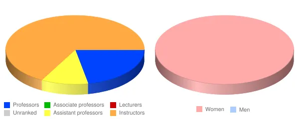 Ambria College of Nursing Faculty Demographics Chart