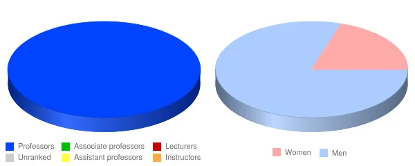 America Evangelical University Faculty Demographics Chart