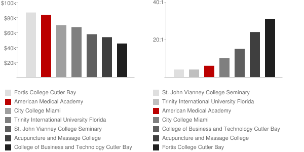American Medical Academy Faculty Compensation and Workload Chart
