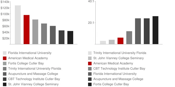 American Medical Academy Faculty Compensation and Workload Chart