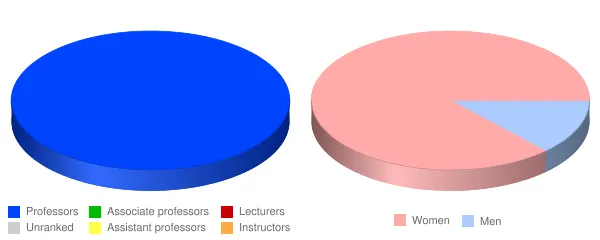 AMG School of Nursing Faculty Demographics Chart