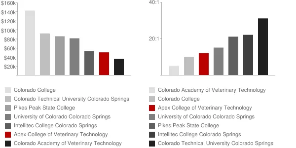 Apex College of Veterinary Technology Faculty Compensation and Workload Chart