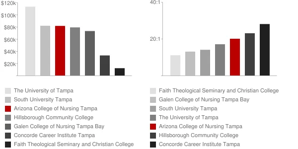 Arizona College of Nursing Tampa Faculty Compensation and Workload Chart