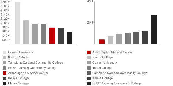 Arnot Ogden Medical Center Faculty Compensation and Workload Chart
