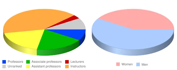 Atlanta Metropolitan State College Faculty Demographics Chart