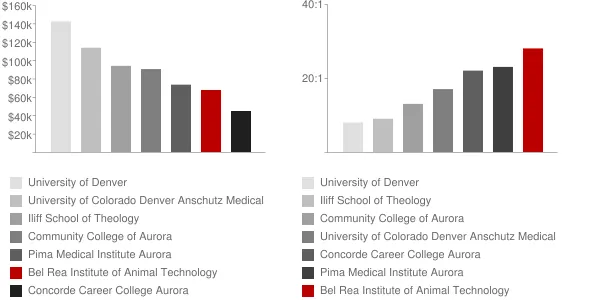 Bel Rea Institute of Animal Technology Faculty Compensation and Workload Chart
