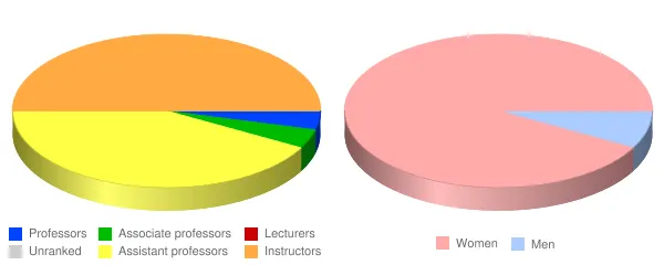 Bellin College Faculty Demographics Chart
