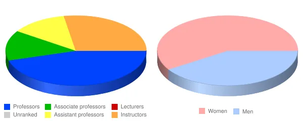 Black Hawk College Faculty Demographics Chart