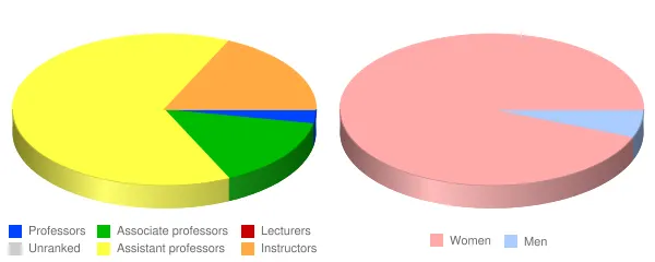 Blessing Rieman College of Nursing and Health Sciences Faculty Demographics Chart