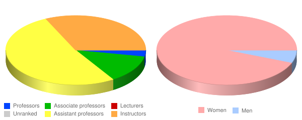 Bon Secours Memorial College of Nursing Faculty Demographics Chart