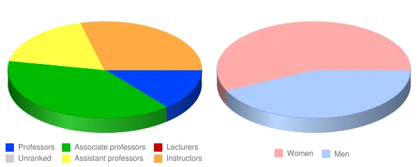 Boricua College Faculty Demographics Chart
