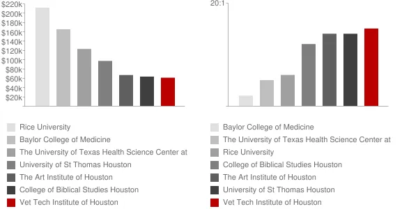 Vet Tech Institute of Houston Faculty Compensation and Workload Chart