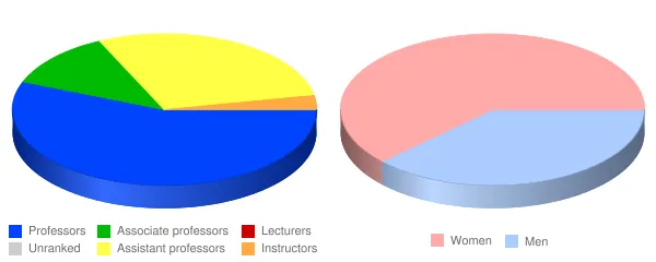 Brooklyn Law School Faculty Demographics Chart