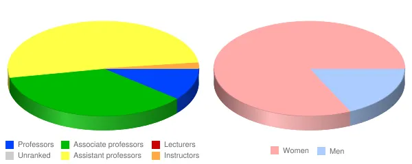 Bryan College of Health Sciences Faculty Demographics Chart