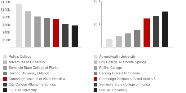 Cambridge Institute of Allied Health & Technology Faculty Compensation and Workload Chart