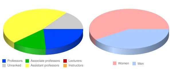 Camden County College Faculty Demographics Chart
