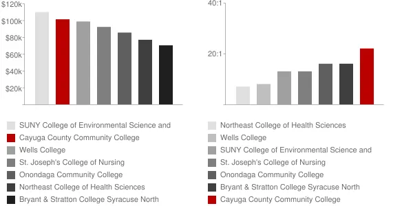 Cayuga County Community College Faculty Compensation and Workload Chart