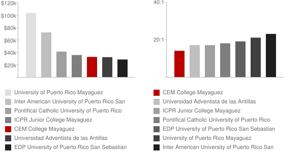 Centro de Estudios Multidisciplinarios Mayaguez Faculty Compensation and Workload Chart