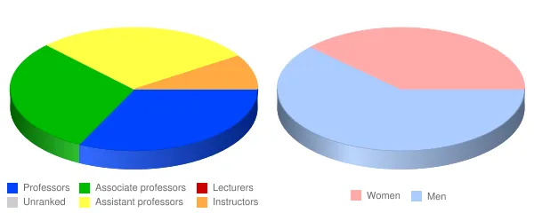 Citadel Military College of South Carolina Faculty Demographics Chart