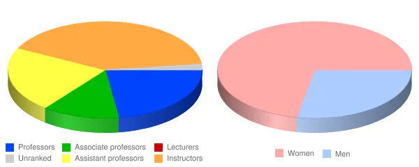 Clark State College Faculty Demographics Chart