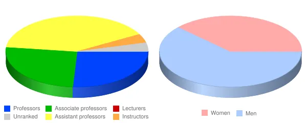 Clarkson University Faculty Demographics Chart