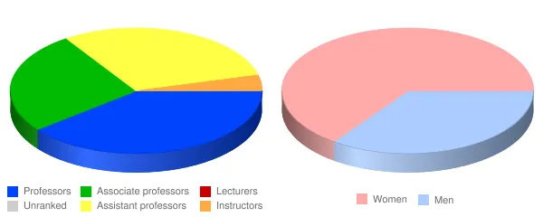Clinton Community College Faculty Demographics Chart