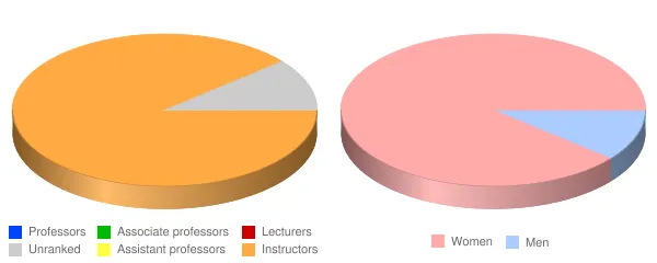 Cochran School of Nursing Faculty Demographics Chart