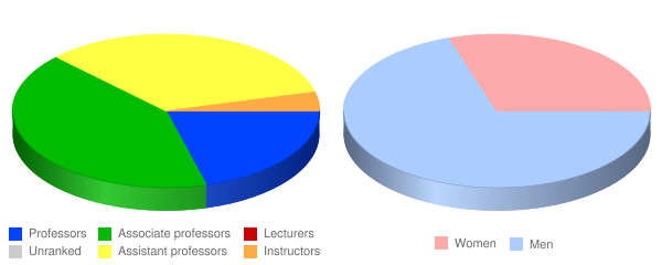 College for Creative Studies Faculty Demographics Chart