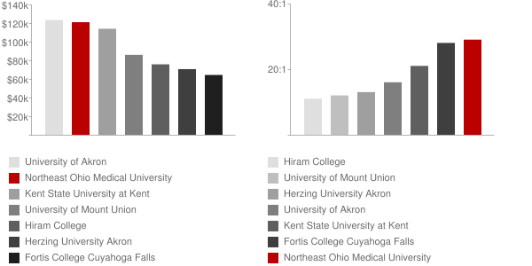 Northeast Ohio Medical University Faculty Compensation and Workload Chart