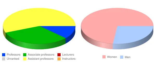 Notre Dame of Maryland University Faculty Demographics Chart