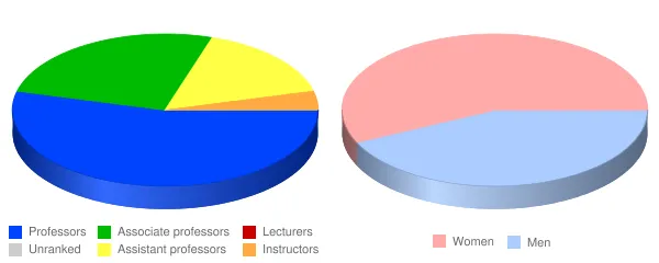 Community College of Allegheny County Faculty Demographics Chart