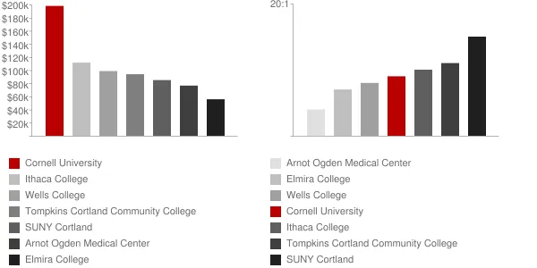 Cornell University Faculty Compensation and Workload Chart