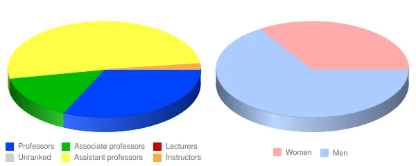 Cornerstone University Faculty Demographics Chart