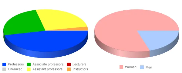 Curry College Faculty Demographics Chart