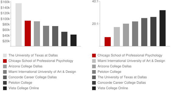Dallas Nursing Institute Faculty Compensation and Workload Chart