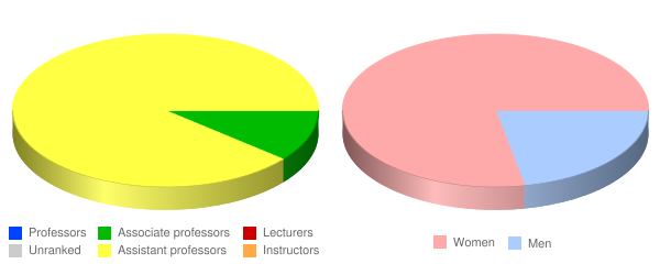 Dallas Nursing Institute Faculty Demographics Chart
