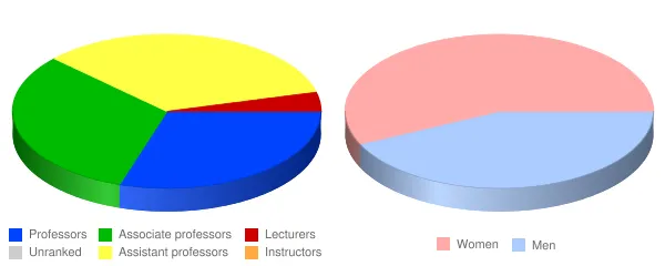 Dalton State College Faculty Demographics Chart