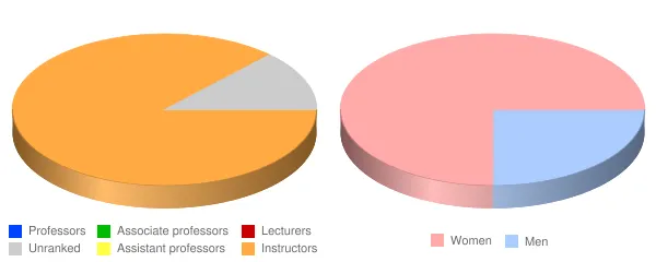 Daytona College Faculty Demographics Chart