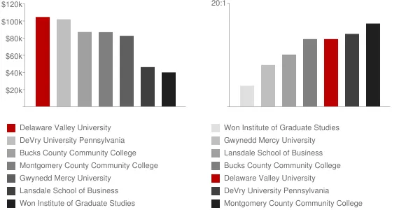 Delaware Valley University Faculty Compensation and Workload Chart