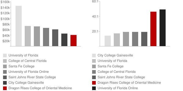 Dragon Rises College of Oriental Medicine Faculty Compensation and Workload Chart