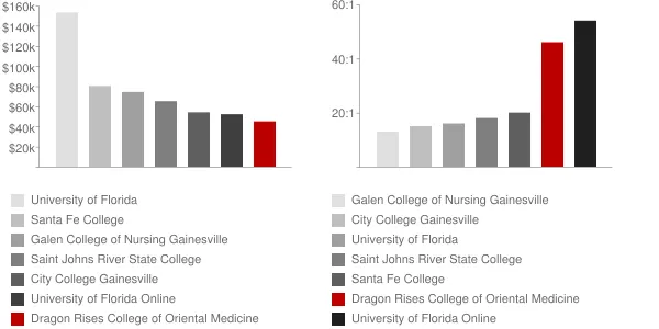 Dragon Rises College of Oriental Medicine Faculty Compensation and Workload Chart