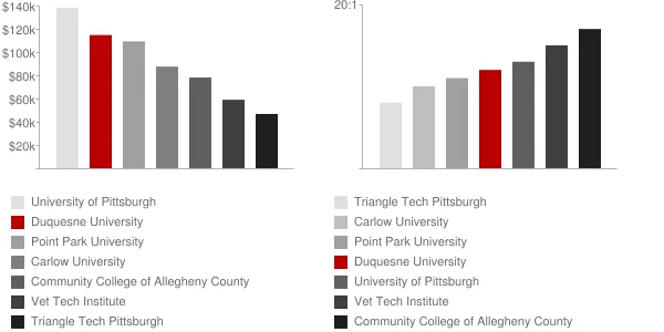 Duquesne University Faculty Compensation and Workload Chart