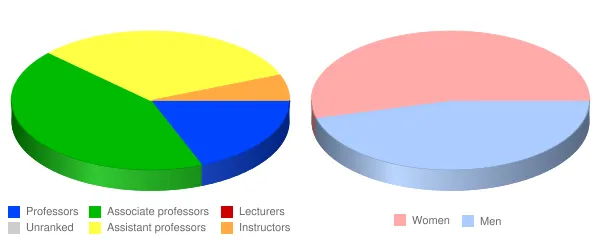 Duquesne University Faculty Demographics Chart