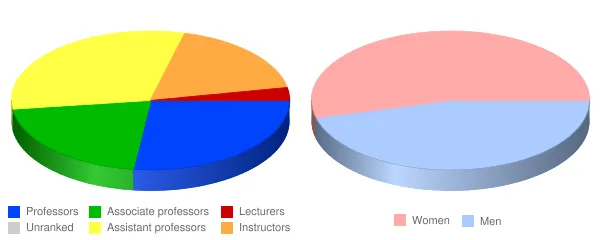 Dutchess Community College Faculty Demographics Chart