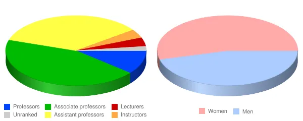 Elmira College Faculty Demographics Chart
