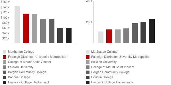Fairleigh Dickinson University Metropolitan Faculty Compensation and Workload Chart